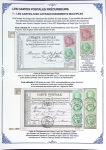 Les Cartes Postales Précurseurs de France1873-84 Collection
