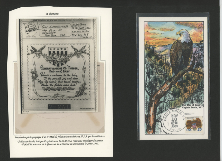 1855-1982, Tropical birds, lot of stamps, covers and