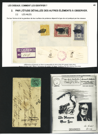 1855-1982, Tropical birds, lot of stamps, covers and