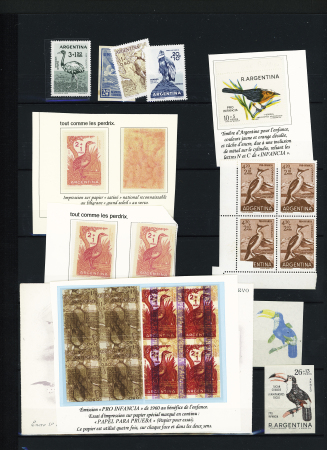 1904-70, Small selection of spectacular modern varieties