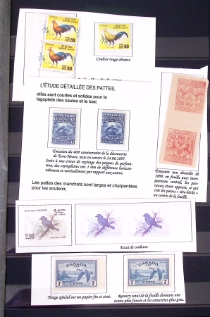 1899-1980, Attractive birds-topic selection of various