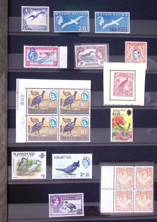 1899-1980, Attractive birds-topic selection of various