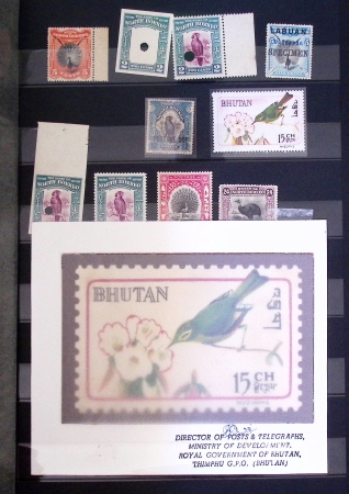 1899-1980, Attractive birds-topic selection of various