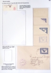 1899-1980, Attractive birds-topic selection of various