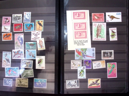 1871-1990, Attractive birds-topic selection of 300