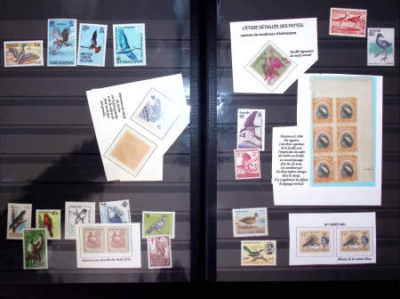 1871-1990, Attractive birds-topic selection of 300