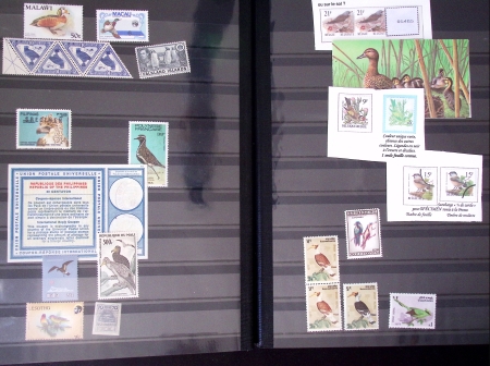 1871-1990, Attractive birds-topic selection of 300