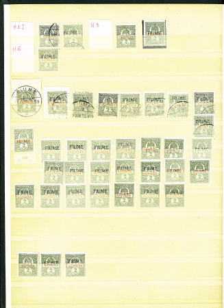 1784-1924, Fascinating holding of Fiume in 8 stockbooks