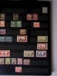 Très jolie collection neuve ** de Tunisie, bien avancée