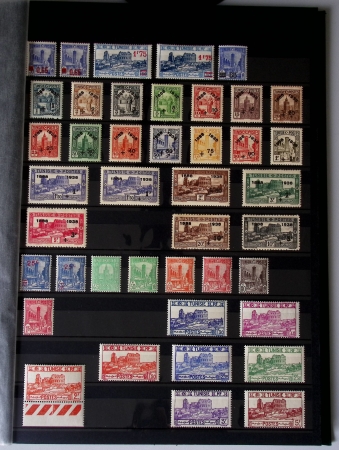 Très jolie collection neuve ** de Tunisie, bien avancée
