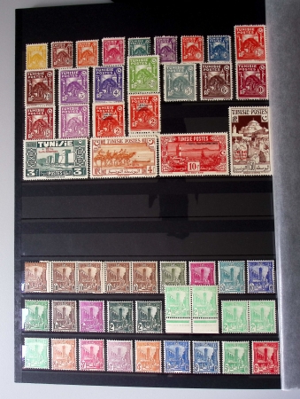 Très jolie collection neuve ** de Tunisie, bien avancée