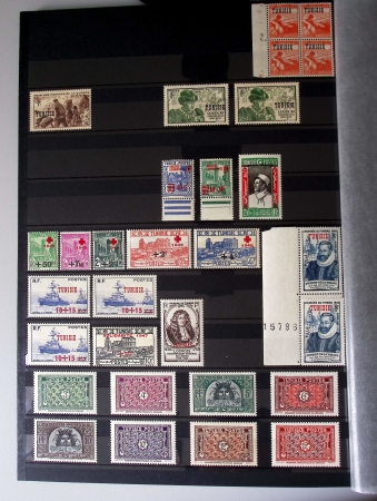 Très jolie collection neuve ** de Tunisie, bien avancée