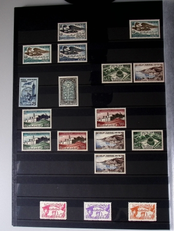 Très jolie collection neuve ** de Tunisie, bien avancée