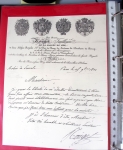 Bel album brun simili-cuir Leuchtturm avec boitier contenant 71 plis de ou pour Chateauroux avec MP et CAD dont lettre pour Chateauroux avec MP ronde "Bureau français Rome", 3 MP rouges "P 35 P Chateauroux", 2 franchise