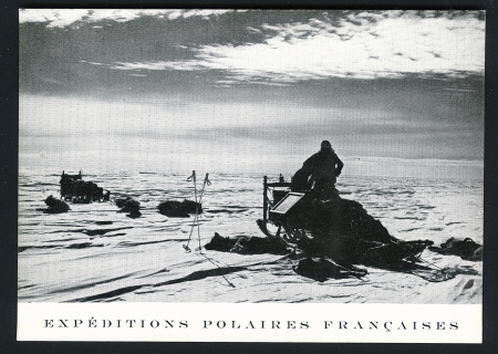 Projet de carte postale non adopté pour l'expédition de 1953 : explorateurs et chiens au repos sur la glace avec mention "expéditions polaires françaises" (cette carte sera reprise avec des modifications en 1956). TB
