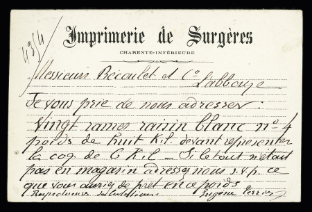 CHARENTE INFERIEURE : jolie CP privée sur carton blanc avec verso ligné Imprimerie de Surgères (PRI I 3). TB. Cote 90€
