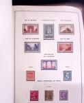 1900-56, collection France quasi neuf en 2 albums