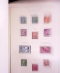 1900-56, collection France quasi neuf en 2 albums