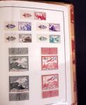 1900-56, collection France quasi neuf en 2 albums