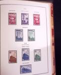 1900-56, collection France quasi neuf en 2 albums