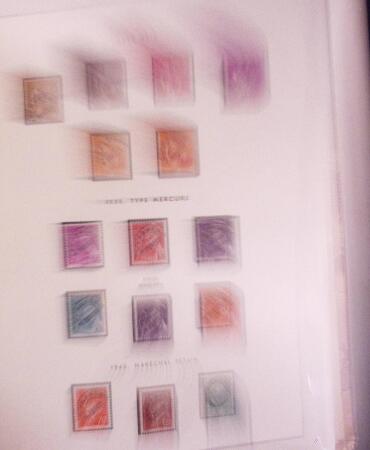 1900-56, collection France quasi neuf en 2 albums