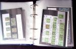 1849-1876 Collection de classique en 2 classeurs, en