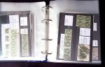 1849-1876 Collection de classique en 2 classeurs, en