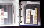 1849-1876 Collection de classique en 2 classeurs, en