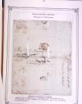 1668-1848, Étude sur la purification des lettres en