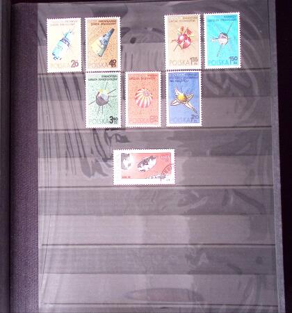 THEMATIC collections in 17 albums : Paintings, Fauna,