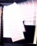 1850-2008. All world collection in six large Yvert