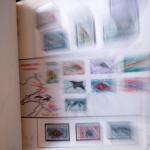 1920-70ca THEMATICS collection in large MOC album with