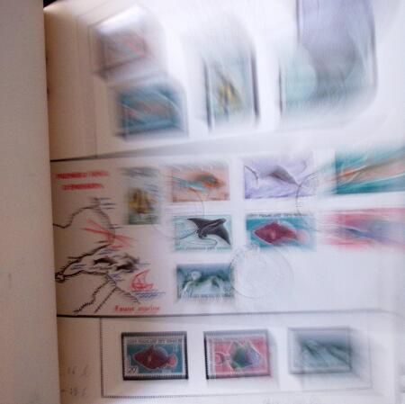 1920-70ca THEMATICS collection in large MOC album with