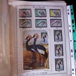 1920-70ca THEMATICS collection in large MOC album with