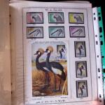 1920-70ca THEMATICS collection in large MOC album with
