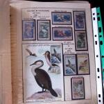 1920-70ca THEMATICS collection in large MOC album with