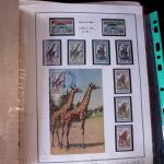 1920-70ca THEMATICS collection in large MOC album with