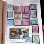 1920-70ca THEMATICS collection in large MOC album with