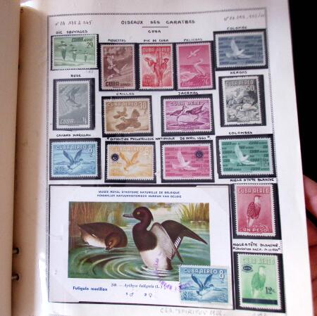 1920-70ca THEMATICS collection in large MOC album with