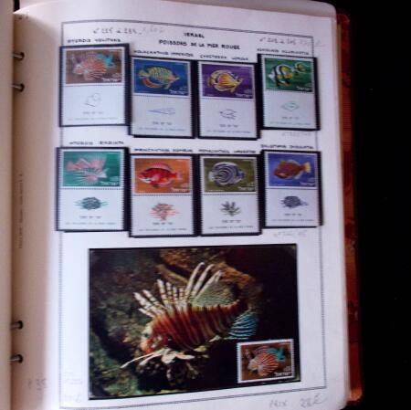 1920-70ca THEMATICS collection in large MOC album with