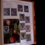 1920-70ca THEMATICS collection in large MOC album with