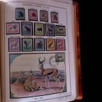 1920-70ca THEMATICS collection in large MOC album with