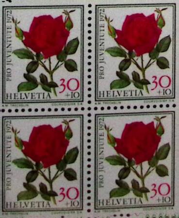 1900-81, Postfrisches Sammlung Schweiz in sechs Steckbüchern,