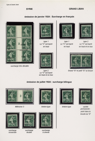 Syrie et Grand Liban - 3 pages d'exposition avec diverses variétés sur le 10c Semeuse vert : surcharge déplacée, renversée, double, pli accordéon etc, joli lot à voir. TB