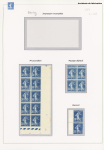 variétés du n°192 : bloc de 10 dont 2 timbres avec impression incomplète. Bloc de 10 avec pli accordéon. Bloc de 4 avec piquage déplacé. Paire verticale avec impression sur raccord. TB