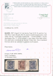5pi Brown single (type II) and two 2pi blue (types