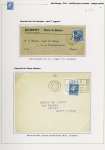 N°217, 25c sur 30c, Semeuse bleu, 3 pages d'exposition