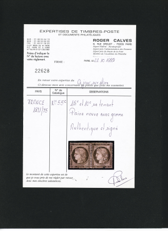 N°55c ERREUR du 15c brun sur rose en paire se-tenant