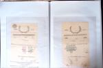 L'EMPIRE OTTOMAN: 36 DOCUMENTS FISCAUX D'EXCEPTION dont droits perçus pour la construction du HEJAZ RAILWAYS (chemin de fer du Hedjaz- ouverture en 1908 sur 1320 kms ligne à voie étroite qui reliait Damas à Médine,