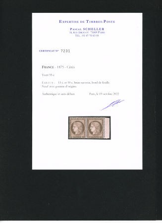 N°55c ERREUR du 15c brun sur rose en paire se-tenant